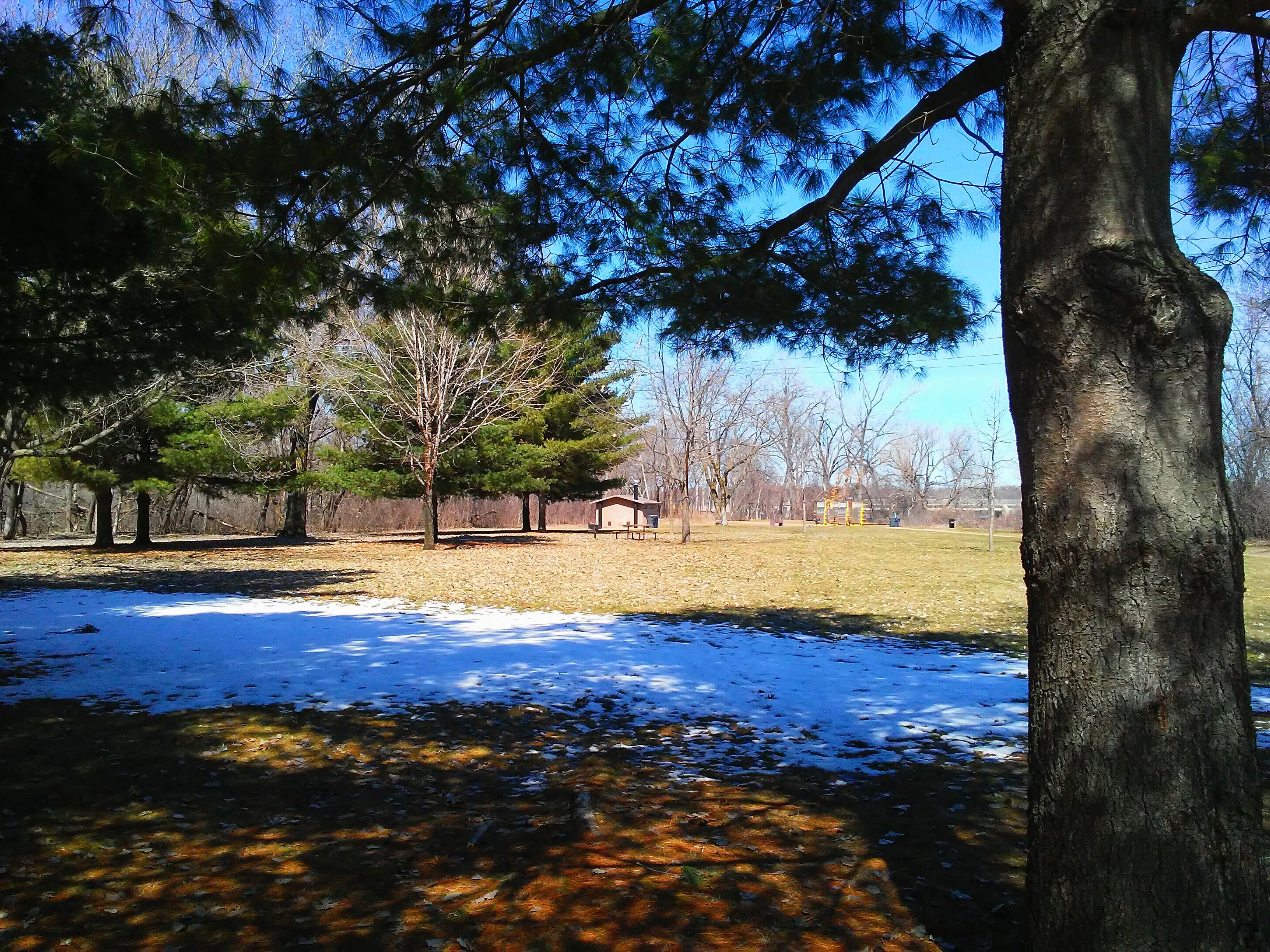 tree in foreground, a patch of snow on the ground
